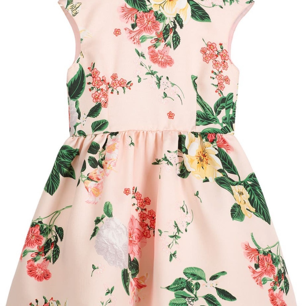 Pippa & Julie Floral Fit & Flare Dress